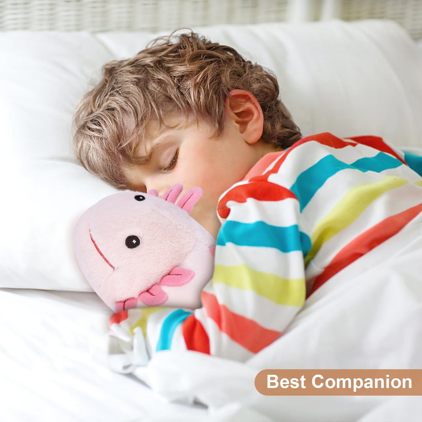 Coussin chauffant Koala pour soulagement crampes, stress & détente, peluche parfum lavande